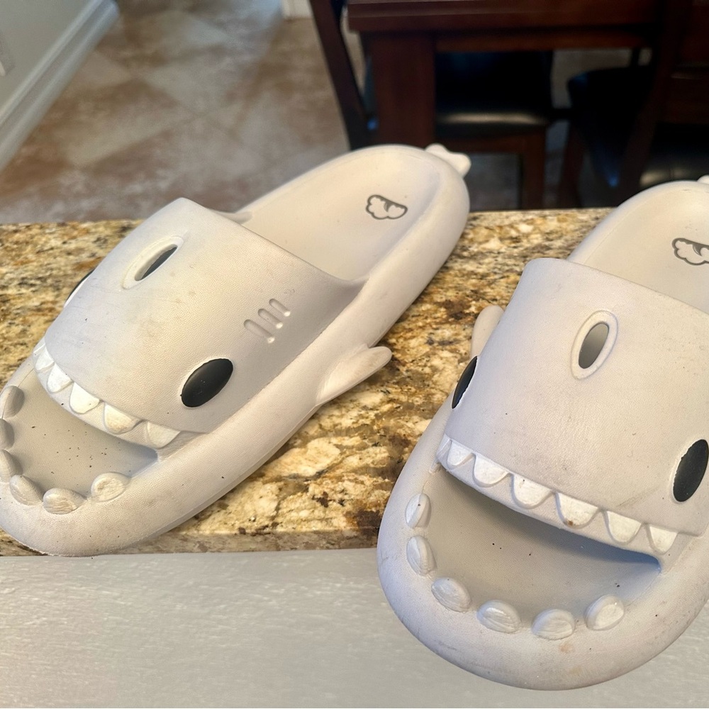 Cloud Shark Slides